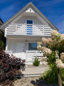 Domki OLIVIA في دارلوكو: بيت أبيض وبه نوافذ زرقاء وورود