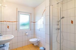 a bathroom with a shower and a toilet and a sink at Schwalbenhof Dreßler und Duss für 6 in Bad Herrenalb