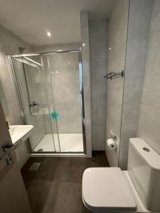 a bathroom with a shower and a toilet and a sink at Jovana ianua in Budva