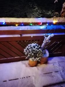 dos macetas sentadas en un banco con luces de Navidad en Naturparadies, en Marktl