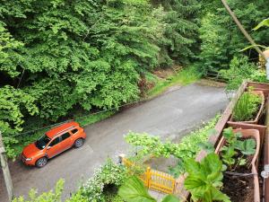 une voiture orange garée sur une route arborée dans l'établissement Naturparadies, à Marktl