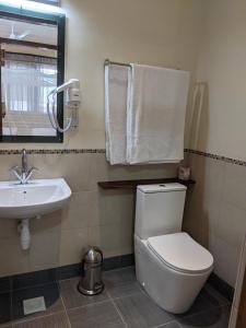 a bathroom with a toilet and a sink at Dutchess Hotel and Restaurant in Fort Portal