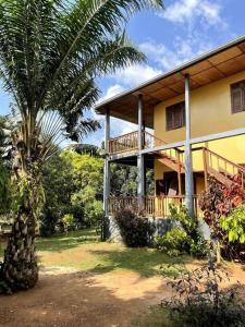 ein Haus mit einer Palme davor in der Unterkunft Villa calme - Jardin Tropical - Kpalimé in Palimé