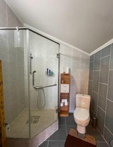 y baño con ducha de cristal y aseo. en Гостевой дом, en Shchūchīnsk
