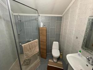 een badkamer met een douche, een toilet en een wastafel bij Гостевой дом in Shchūchīnsk