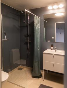 a bathroom with a shower and a sink and a mirror at The Studio in Skellefteå