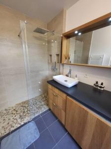 W łazience znajduje się umywalka i prysznic. w obiekcie Superbe T3 Chessy Disney/Paris - Jacuzzi, Jardin, Barbecue, Parking w mieście Chessy