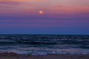 una luna llena elevándose sobre el océano en la playa en Villa l'Eden de Camargue- Spa et Nature, en Candillargues