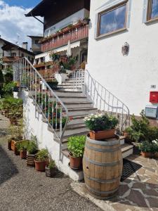 um grupo de vasos de plantas em frente a um edifício em Appartements Pension Sonia em Funes