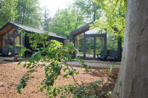 una casa de cristal en el bosque con patio en Boetiekpark 't Zwaantje, en Mook