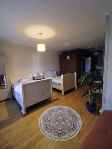 a living room with two beds and a rug at Charmante chambre dans village jurassien in Nogna