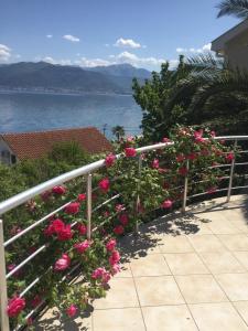 a bunch of pink roses on a railing near the water at Natalie Apartments in Tivat