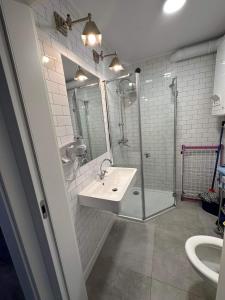 a bathroom with a sink and a shower at Apartament Albatros in Darłowo