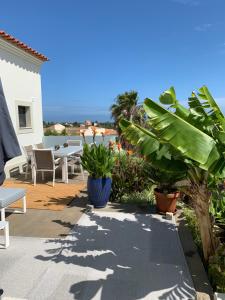 a patio with plants and a view of the ocean at A Beira Do Vale, Carvoeiro in Carvoeiro