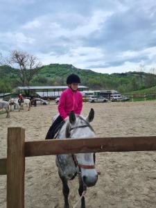 a woman riding a horse next to a fence at Apartament Slănic Prahova in Slănic