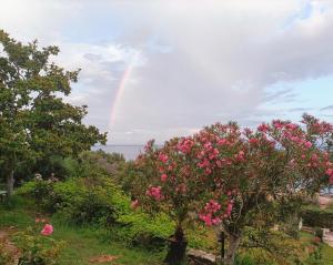 Zdjęcie z galerii obiektu Villa Magnolia w mieście Santa-Maria-di-Lota