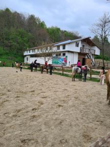 a group of people riding horses in front of a building at Apartament Slănic Prahova in Slănic