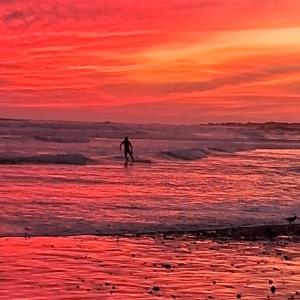 a person walking into the ocean with a surfboard at Alojamiento Portofino Chañaral. in Ciudad de Chañaral