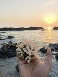 布莱尔港Adhvasaha Beach Spa Resort的相册照片