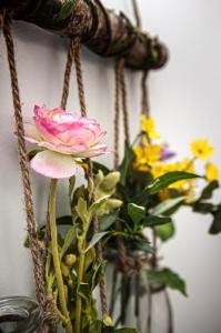 Gallery image of GUEST HOUSE RHEA / КЪЩА ЗА ГОСТИ РЕЯ in Balchik