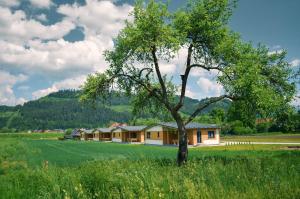 a tree in a field next to a house at Rezort Zvernica Vlachy in Vlachy