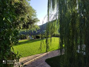 Un sauce llorón en un parque verde en B&B Volver en Peschici