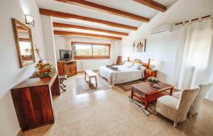 a large room with a bed and a television at Can Lari Chalet in Vall-Llobrega
