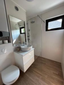 a bathroom with a sink and a toilet and a mirror at BovecApartmentA in Bovec