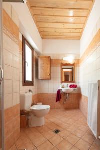 a bathroom with a toilet and a sink at Alexis New Villas in Chrysi Ammoudia