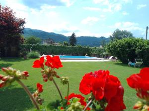 a garden with red flowers and a swimming pool at Le sette fontane in Barga