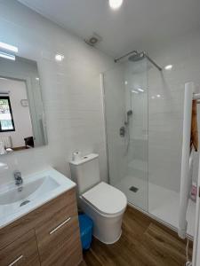 a bathroom with a toilet and a sink and a shower at Apartamentos Bravo Murillo in Madrid