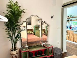Bohemian eco lodge في Kisapáti: مرآة على خزانة في غرفة مع النباتات