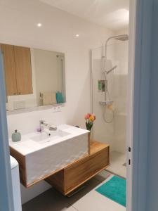 ein Badezimmer mit einem weißen Waschbecken und einer Dusche in der Unterkunft Appartement des Cygnes in Annecy