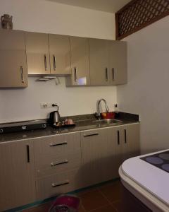 Domina Coral Bay Resort &casino في Dawwār Ruḩayyim: مطبخ مع خزانات حديد قابلة للصدأ ومغسلة