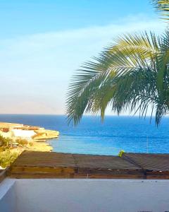Domina Coral Bay Resort &casino في Dawwār Ruḩayyim: إطلالة على المحيط من منزل به نخلة +3 صور