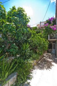 a garden with plants and trees and a building at Sun&Fun Studio Apartment in Hvar