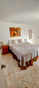 a bedroom with a large bed and a painting on the wall at Arena Oceanview Hotel & La Terraza Restaurant in Las Galeras