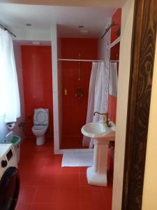 ヴィリニュスにあるLesnoy holiday homeのバスルーム(トイレ、洗面台、シャワー付)