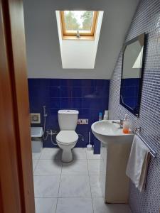 a blue bathroom with a toilet and a sink at Lesnoy holiday home in Vilnius