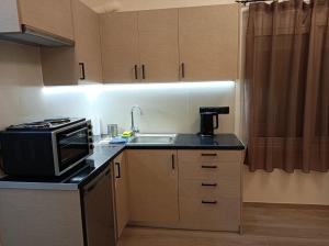 a small kitchen with a sink and a microwave at Apartment Dipla 3 in Athens