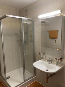 a bathroom with a shower and a sink at Les balcons du Rhône in Daillon