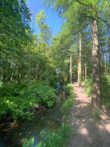 a path in the woods next to a stream at Cozy bedroom in shared accommodation with free parking in Edinburgh