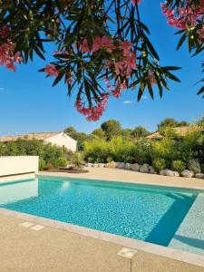 - une piscine dans une cour avec un arbre au-dessus dans l'établissement Les Bergeries de Saumane, gîte 6 personnes au sein d'un ensemble de 4 gîtes,Piscine commune, à Saumane-de-Vaucluse