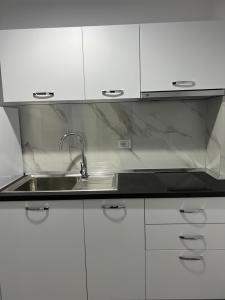 繩金塔的住宿－Vila Kledi，厨房配有水槽和白色橱柜