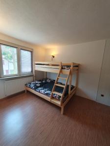 een slaapkamer met 2 stapelbedden in een kamer bij Nephelin in Weil am Rhein