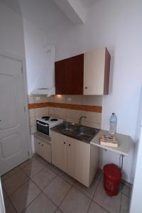 a small kitchen with a sink and a stove at Four Seasons 1 in Paralia Katerinis
