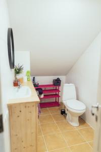 a bathroom with a toilet and a sink at Poorbaltics Studio in Liepāja