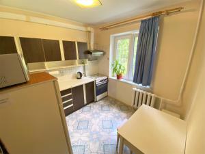 a small kitchen with a sink and a window at Просторі апартаменти поруч з метро Лівобережна in Kyiv