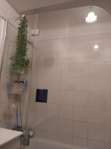 a bathroom with a shower with a christmas tree in it at Efd Varzea Park in Funchal