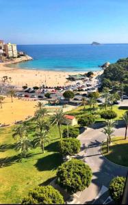 Blick auf einen Strand mit Palmen und das Meer in der Unterkunft Fantástico apartamento playa in Cala de Finestrat